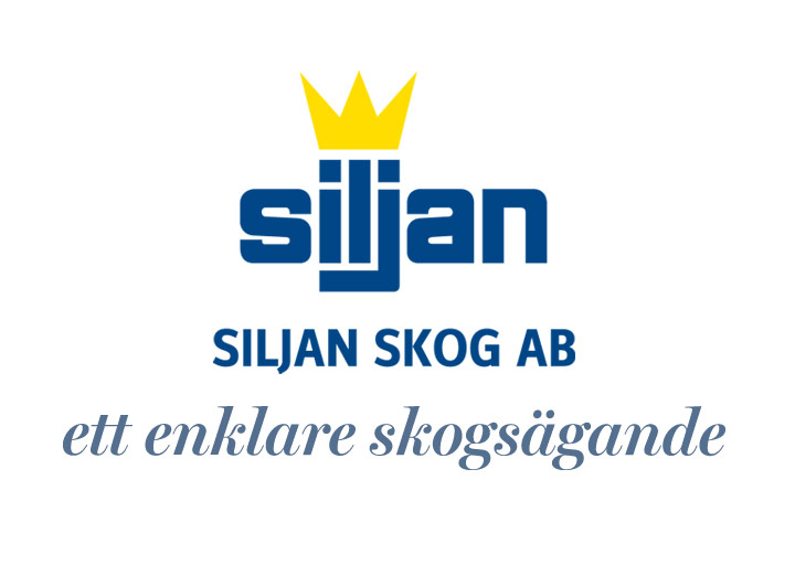 Leksandsstolen